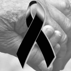 Meet your Posher, Celeste